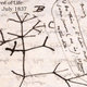 Illustration for article titled Over 16,000 of Darwin's Papers On Evolution Are Now Available Online